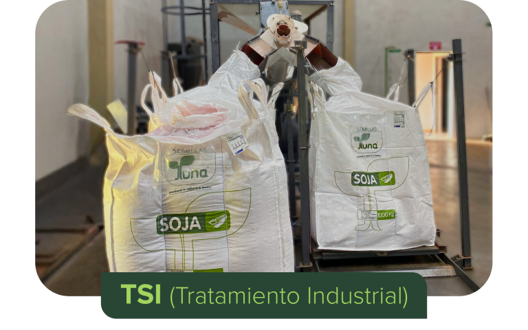 TRATAMIENDO INDUSTRIAL DE SEMILLAS